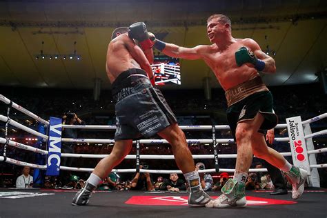 canelo alvarez training shorts.